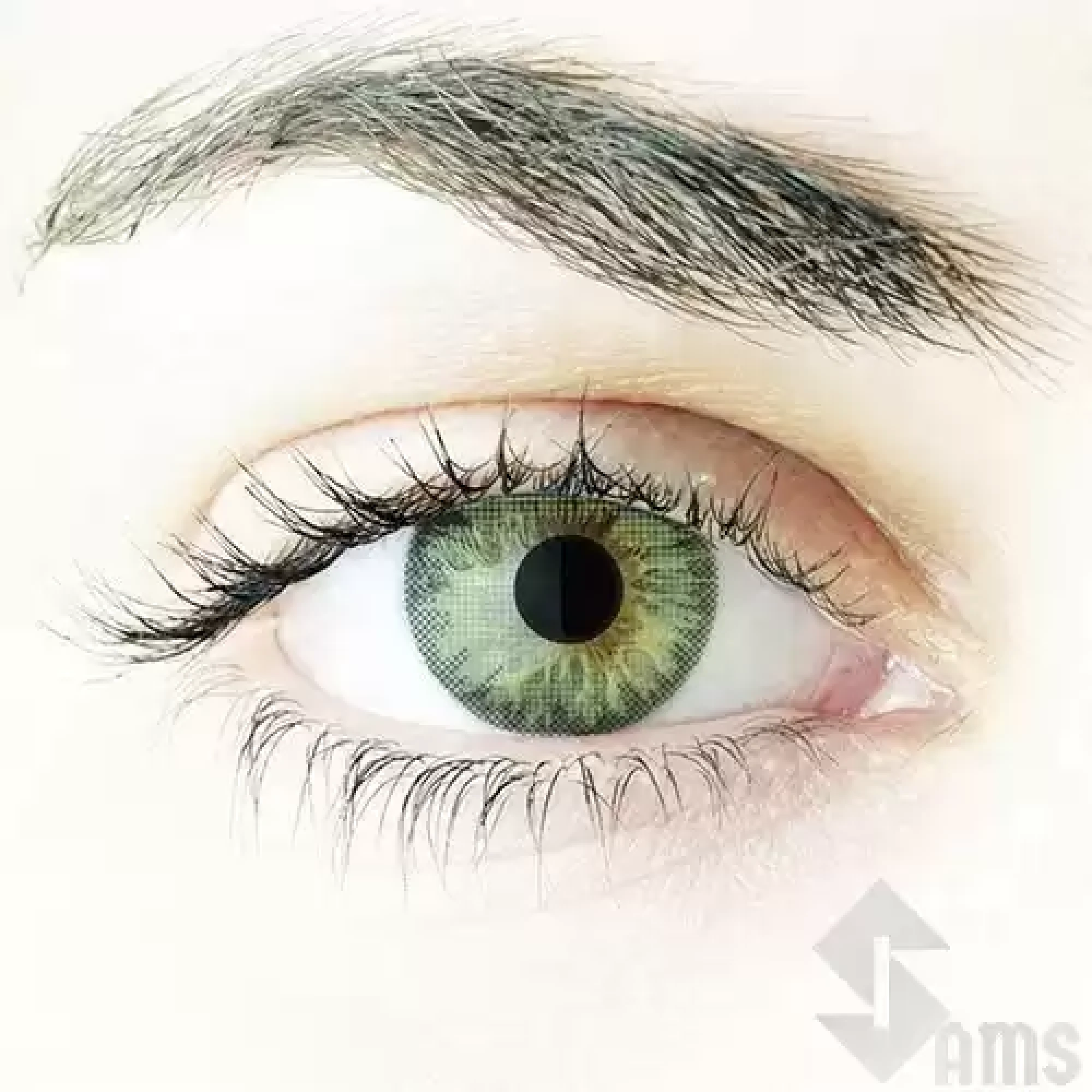 Fresh look Contact Lens Green1.webp